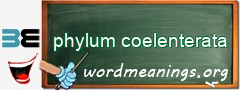 WordMeaning blackboard for phylum coelenterata